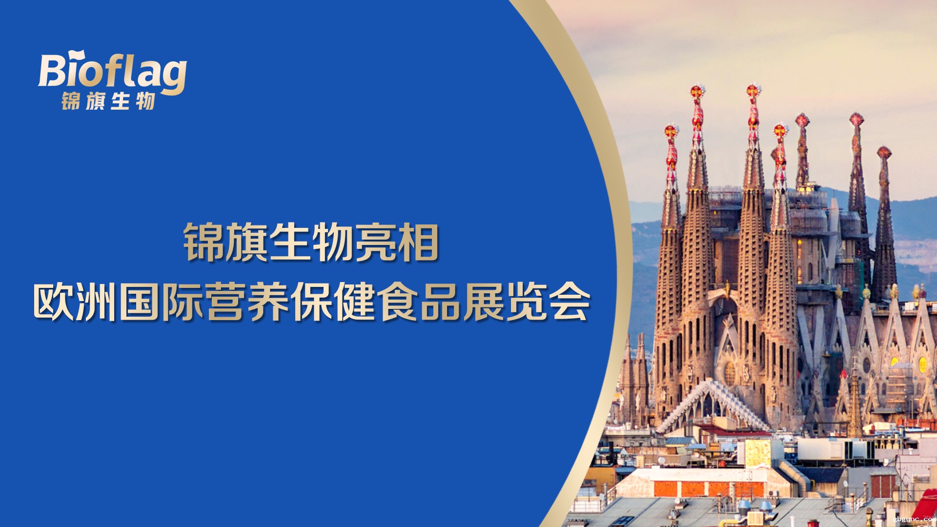 锦旗生物：中国健康产业出海进入“菌株时代”，本土菌株成国际竞争新王牌